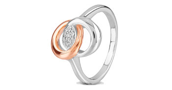 Rosa Lea Intertwined