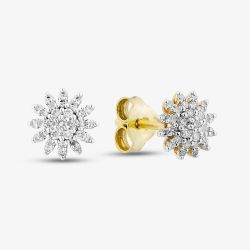 9ct Yellow Gold 0.20ct Diamond Flower Stud Earrings THE48851-20 (YG)