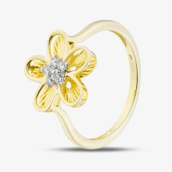 9ct Yellow Gold 0.07ct Diamond Flower Ring THR48859-07SF (YG)