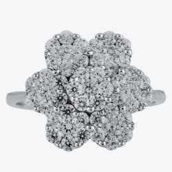 Silver Clear Flower Cubic Zirconia Cluster PJR0218-CZ-L