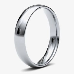 Platinum 4.0mm Light Court Wedding Ring 4GLC-PT