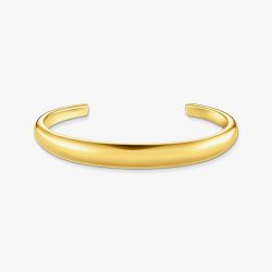 THOMAS SABO Gold Plated Timeless Bangle AR115-413-39