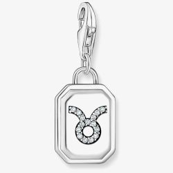 THOMAS SABO Silver Octagonal Cubic Zirconia Taurus Charm 2151-643-21