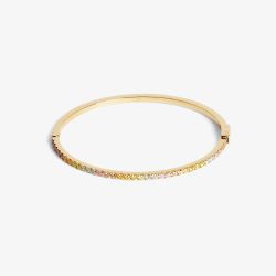 Coeur De Lion Eternal Love Gold Tone Stainless Steel Multi Colour Pastel Cubic Zirconia Bangle 0146/32-1590-19