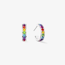 Coeur De Lion Silver Tone Multi Coloured Crystal Hoop Earrings 0131/21-1517