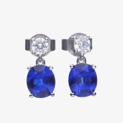 Diamonfire Sterling Silver Blue Cubic Zirconia Drop Earrings E5978
