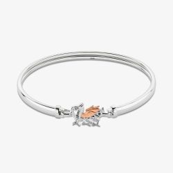 Clogau Welsh Dragon Silver 9ct Rose Gold Bangle Bracelet 3SWDR895