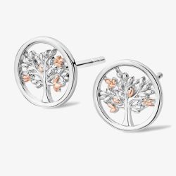 Clogau Tree of Life Stud Earrings 3SNTLCSE