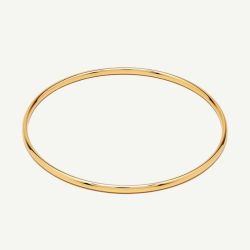 D.Louise Yellow Gold Tone Plated Stainless Steel Classic S/M Bangle SKB-09-02