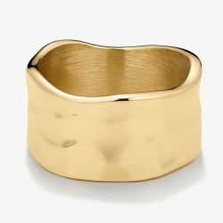 D.Louise Yellow Gold Tone Plated Stainless Steel Textured Band Ring GR-040