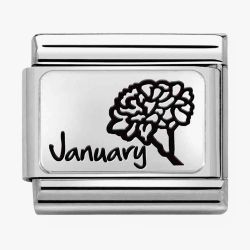 Nomination CLASSIC Composable Plates January Flower Charm 330112/13