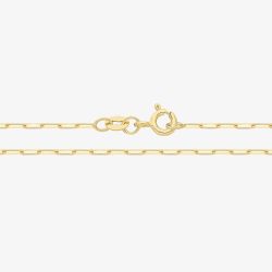 9ct Yellow Gold 10 Inch Paper Clip Chain Bracelet CH569/10