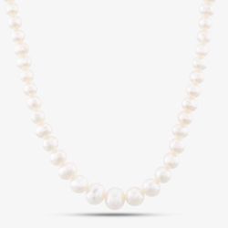 9ct Gold 16 Inch Graduated Freshwater Pearl Necklace POZ827SD