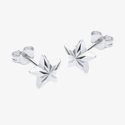 9ct White Gold Diamond Cut Star Stud Earrings 5.55.1483