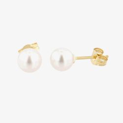 9ct 5.5 x 6mm Akoya Pearl Stud Earrings EOZ106CM