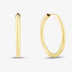 9ct Yellow Gold 22.5mm Hollow-Tube Hoop Earrings 1.51.2579