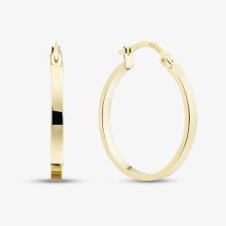 9ct Yellow Gold Flat Hoop Earrings E-RTPS-21520-9Y