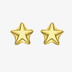 LUXE Silver Gold Plated Star Stud Earrings 8.55.5639
