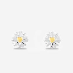 Rosa Lea Daisy Heart Stud Earrings AM-2THB028106