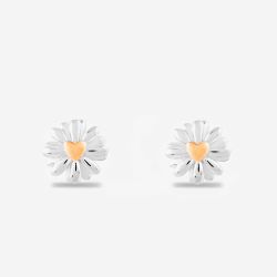 Rosa Lea Daisy Heart Stud Earrings AM-2THB028107 RG