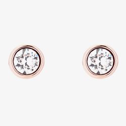 Ted Baker SINAA Rose Gold Tone Crystal Stud Earrings TBJ1084-24-02