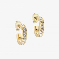 Ted Baker SEENITA Gold Tone Crystal Huggie Hoop Earrings TBJ2767-02 02