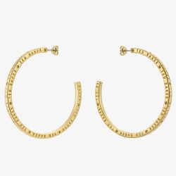 Ted Baker LOA Gold Tone Plated Logo Half Hoop Earrings TBJ3818-02-03