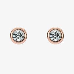 Ted Baker Sinaa Rose Gold Tone Mini Crystal Stud Earrings TBJ3124-24-02