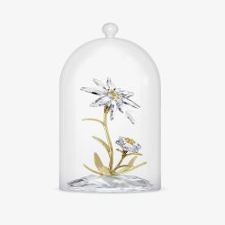 Swarovski Florere 130th Anniversary Bell Jar Figurine 5701376