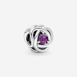 PANDORA Silver February Birthstone Eternity Circle Charm 790065C02