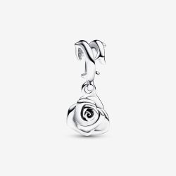 PANDORA Silver Rose In Bloom Dangle Charm 793213C00