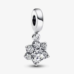 PANDORA Sterling Silver Cubic Zirconia Sparkling Pet Paw Print Dangle Charm 792247C01