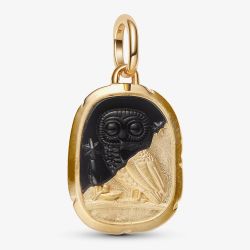 PANDORA 14ct Yellow Gold Plated & Black Enamel Owl Medallion Charm 764805C01