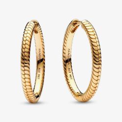 PANDORA Moments 14ct Gold Plated Charm Hoop Earrings 269532C00