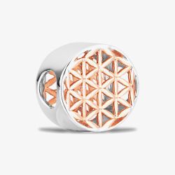 Rosa Lea Geometric Triangles Charm AM-2THB014306