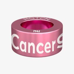 Notch Zodiac Cancer Pink Charm 00142-PI