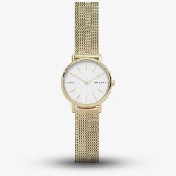 Skagen Signature Mesh Bracelet Watch SKW2693