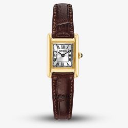 Citizen Ladies Fio Roma Eco-Drive Gold Rectangular Dial Brown Leather Strap Watch EG2797-13A