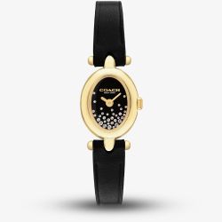 Coach Ladies Sammy Golden Oval Black Crystal Dial Leather Strap Watch 14504739