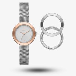 DKNY Ladies Sasha Watch NY2975