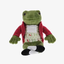 Peter Rabbit Mr Jeremy Fisher Small Soft Toy A30816