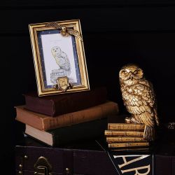 Harry Potter Alumni Gold Hedwig 4x6 Inch Photo Frame WB221