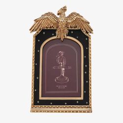 Harry Potter Alumni 4X6 Photo Frame -Fawkes WB1056