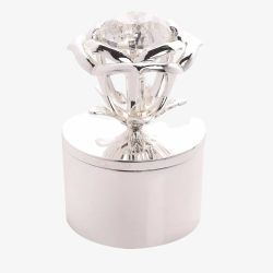 Sophia Silver Rose Jewel Jewellery Box SP3576