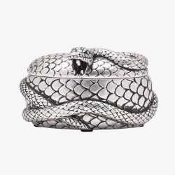 Harry Potter Dark Arts Nagini Trinket Box WB317