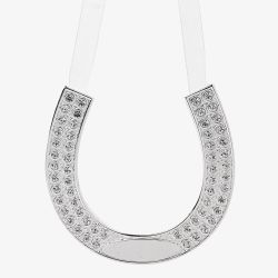 Amore Silver Plated Wedding Horse Shoe Gift WG539