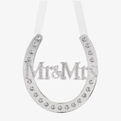 Silver Plated Mr & Mrs Horsehoe WG536