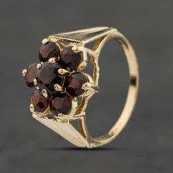 Second Hand 9ct Yellow Gold Garnet Flower Cluster Ring 41104046