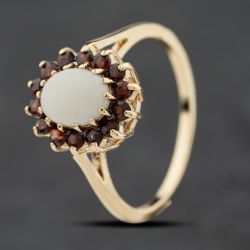 Second Hand 9ct Yellow Gold Opal & Garnet Oval Cluster Ring 41104127