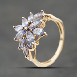 Second Hand 9ct Yellow Gold Tanzanite Flower Cluster Ring 41104174